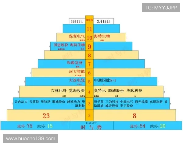 上海羽毛球队与深圳羽毛球队赛后复盘分析比赛节奏与战术对比